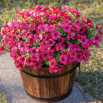 Upgraded High-grade Material  Rainproof Lifelike Artificial Flowers With UV-Shield Coating